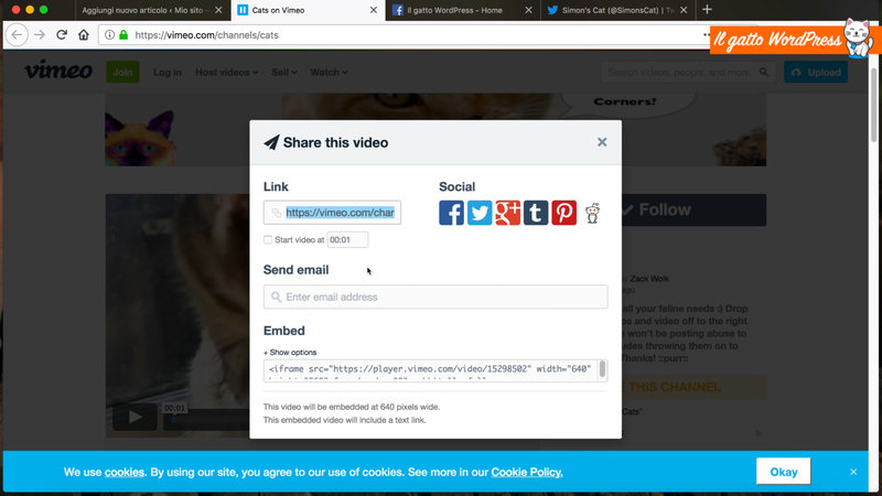 wordpress-inserire-video-youtube-05