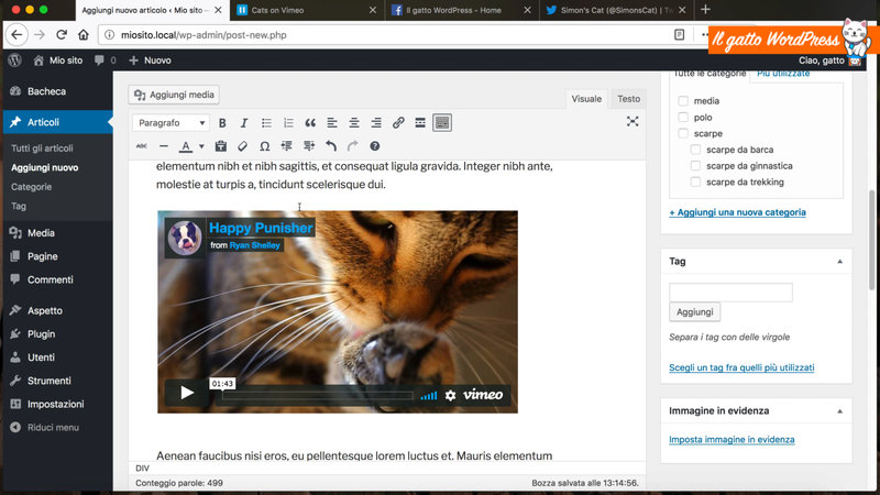 wordpress-inserire-video-youtube-06