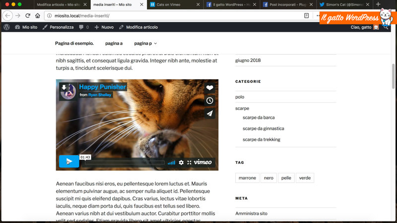 wordpress-inserire-video-youtube-13